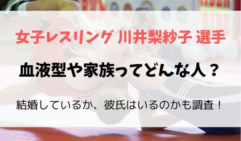 川井梨紗子の血液型や家族 父母 は 結婚や彼氏 ゴリラに似てる フレフレ毎日